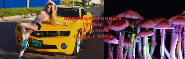 тгк Абдулино
