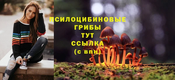 ГАЛЛЮЦИНОГЕННЫЕ ГРИБЫ Абинск