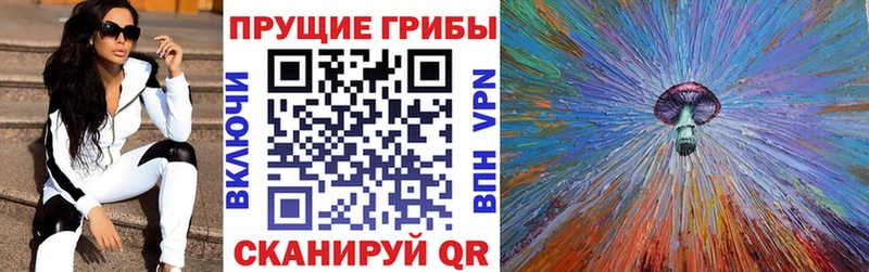 Псилоцибиновые грибы Cubensis  блэк спрут онион  Кедровый 